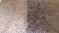 Carpet Cleaning