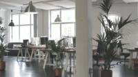 Commercial Cleaning Service