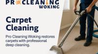 Carpet Cleaning