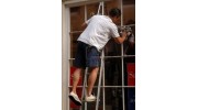 Action Window Cleaning