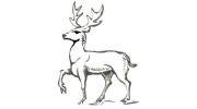 Buckland Carpet and Fabric Care